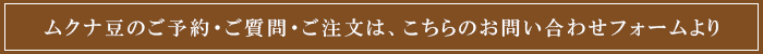 ムクナ豆のご予約は、こちらのお問い合わせフォームより